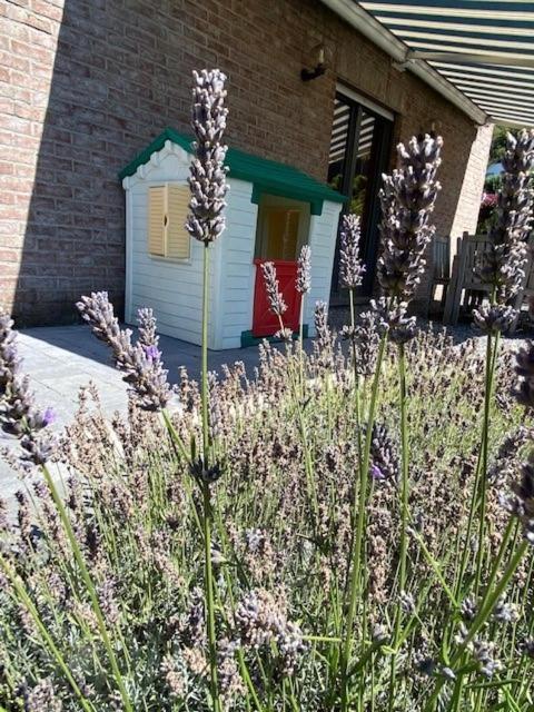 "Chez Mima" - A Deux Pas De Durbuy! Villa Dış mekan fotoğraf